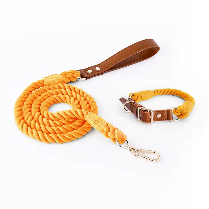 Honey Orange Premium Leather Pet Collar and Leash - Soft, Strong Braided Rope