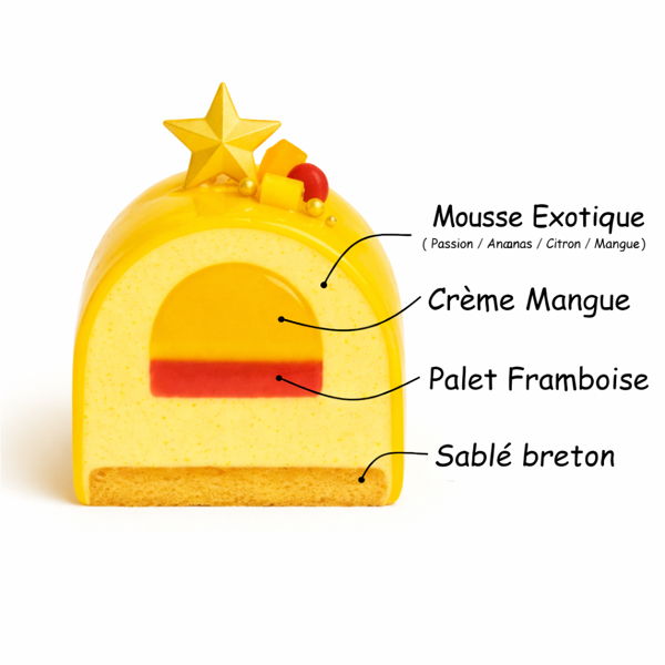 buche-de-noel-mousse-mangue-exotique