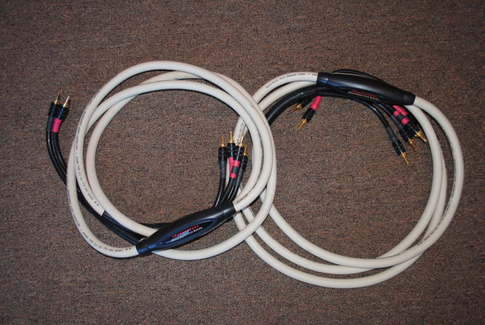 Transparent MWPBW12 MM1 Technology Speaker Cables