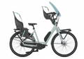 Gazelle Bloom C7