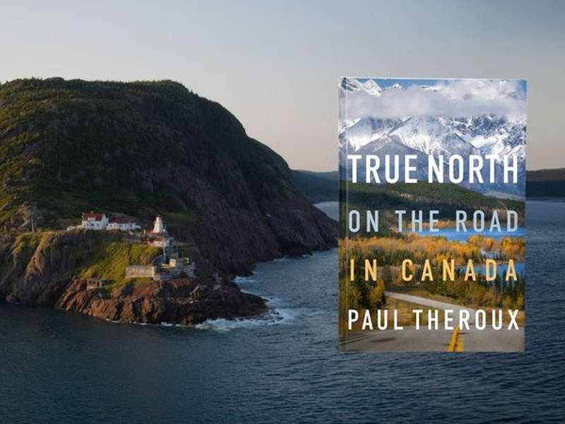 Image may contain: Animal, Canine, Dog, Mammal, Newfoundland, Pet, Nature, Outdoors, Sea, Water, Promontory, Land, and Cliff