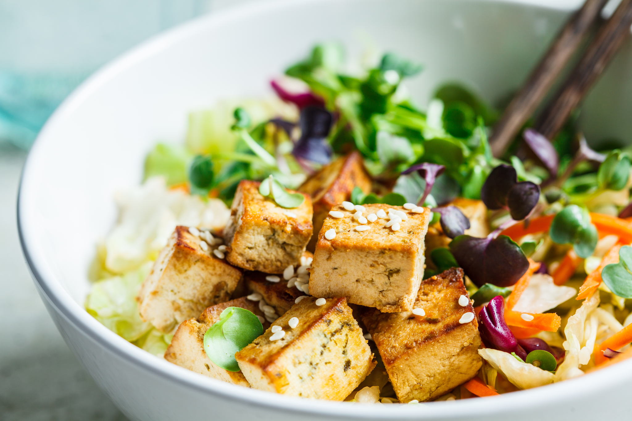 Cutting Carbon, Not Flavour: The Future of Sustainable Menus