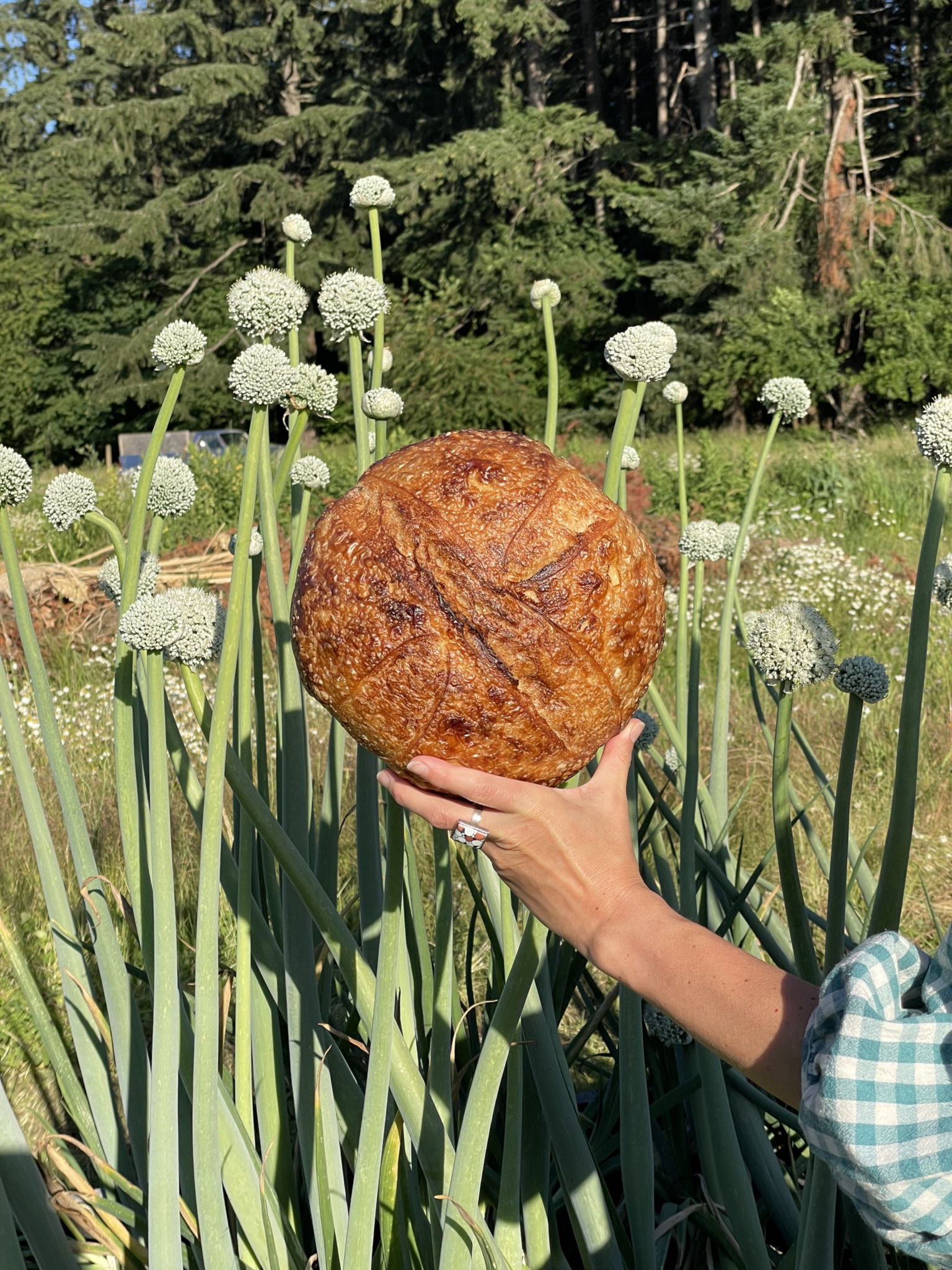 Romo’s Sourdough • Sam Romanowski — photo from hotplate.com