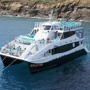 Molokini Crater Snorkeling Tour