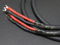 Cardas Audio Golden Reference Speaker Cables 3M New Spades 2