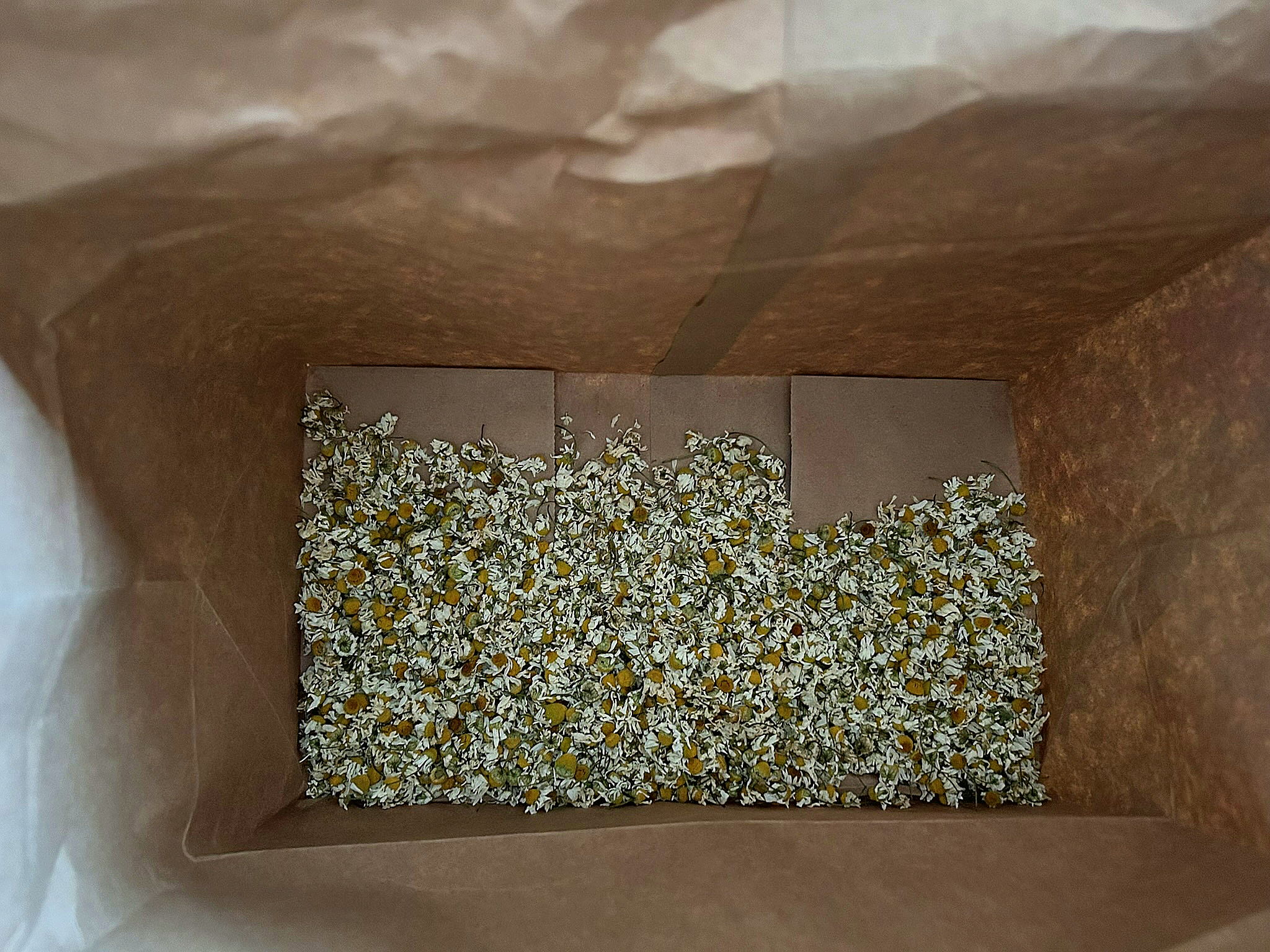 Chamomile flowers drying in a paper bag