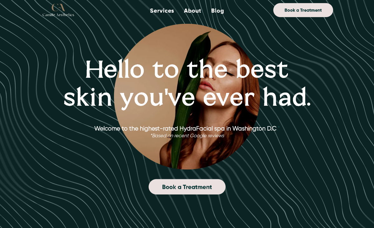Screenshot of Camille Aesthetics, from the duda websites collection.