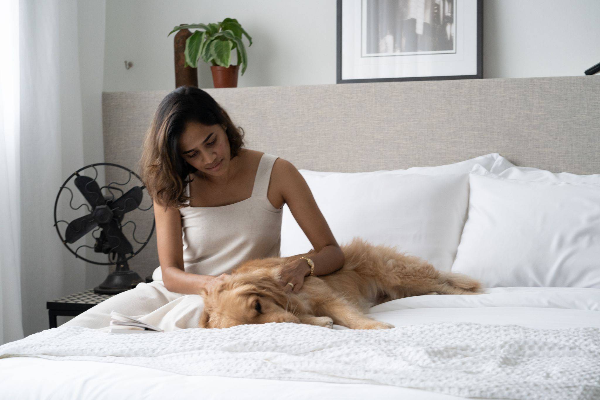 Woman petting her pet dog on the bed featuring Weavve's white bed sheets 