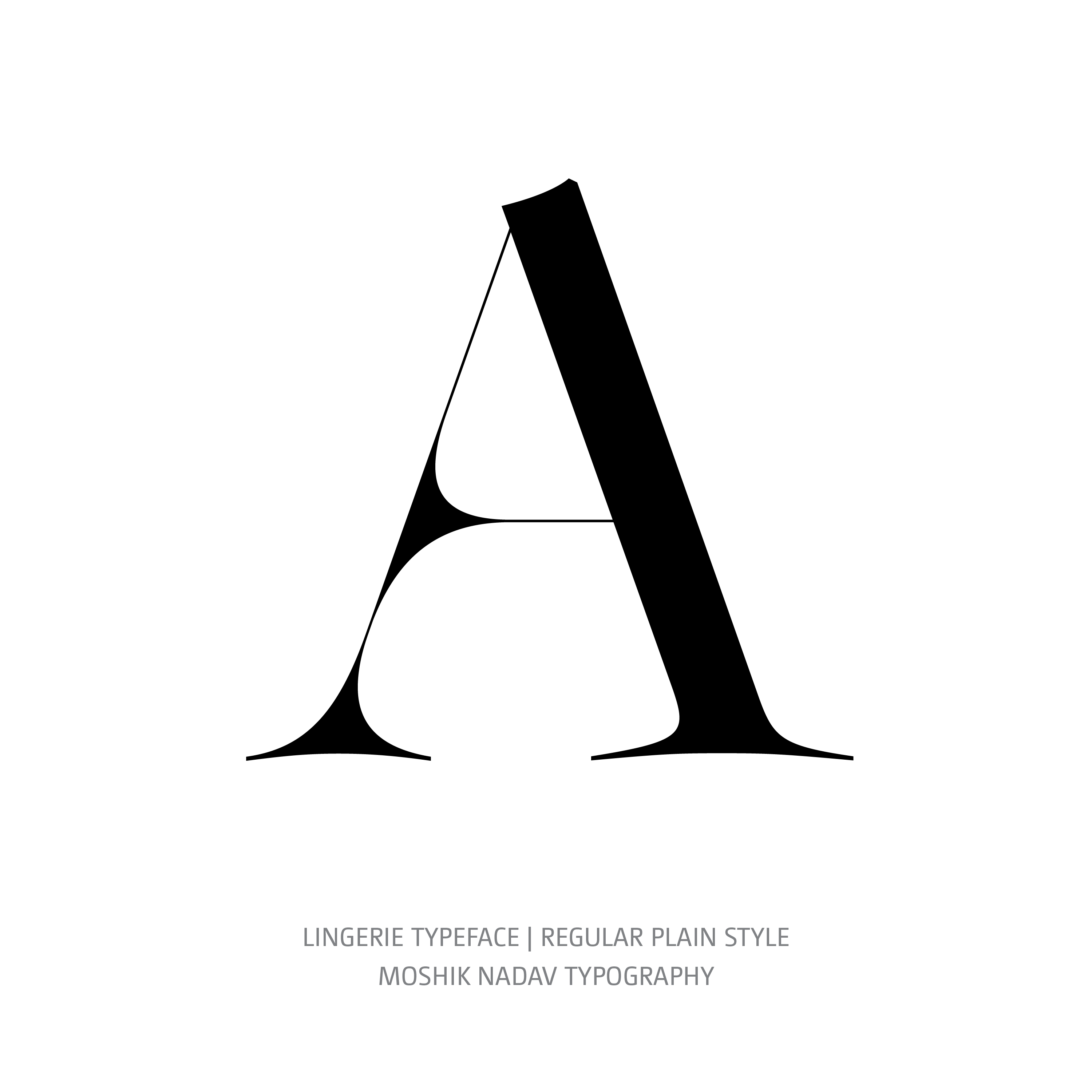 Lingerie Typeface Regular Plain A