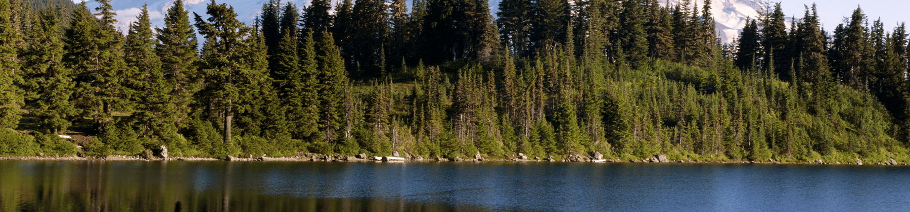 Washington skyline