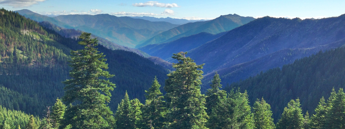 National Forest Foundation banner