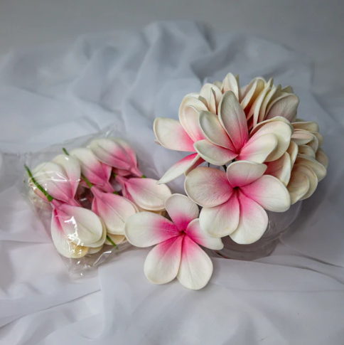 White Pink Frangipani Flowerhead ( 6 Pack ) - Realistic Artificial Flowers
