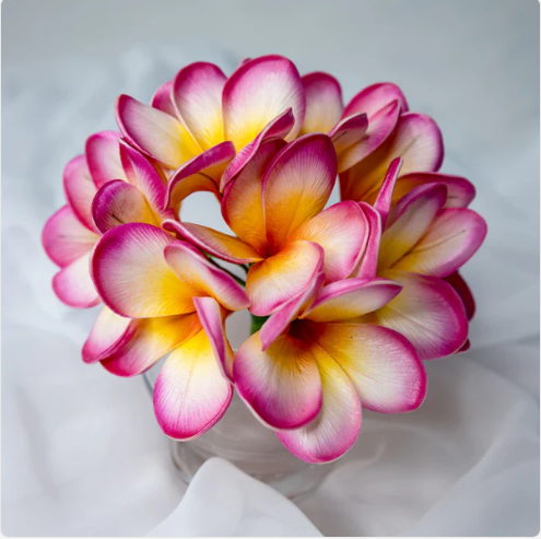 Sunset Pink Frangipani Flowerhead (6 Pack) - Realistic Artificial Flowers
