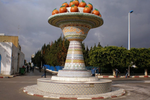 Кап Бон — жемчужина Тунисского плодородия