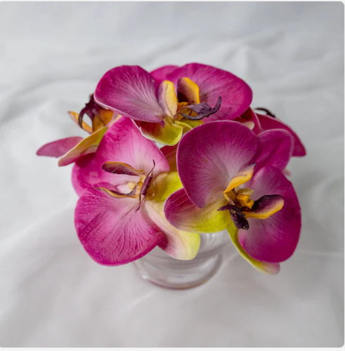 Purple Pink Phalaenopsis Flowerhead (6 Pack) - Realistic Artficial Flowers - Image 3