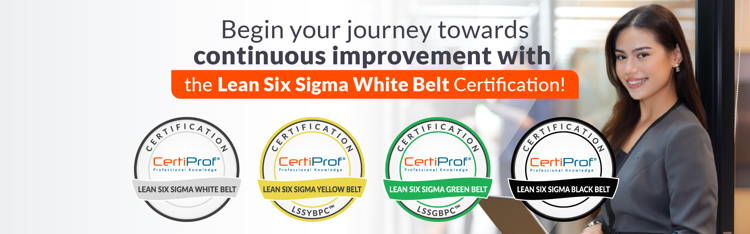 White belt six sigma free outlet
