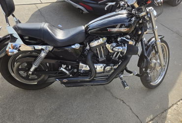 2008 HARLEY-DAVIDSON XL 1200C SPORTSTER CUSTOM (BLACK) motorcycle for rent near Citrus Heights, CA