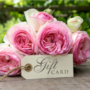 Metal Prints Gift Card - Mpix