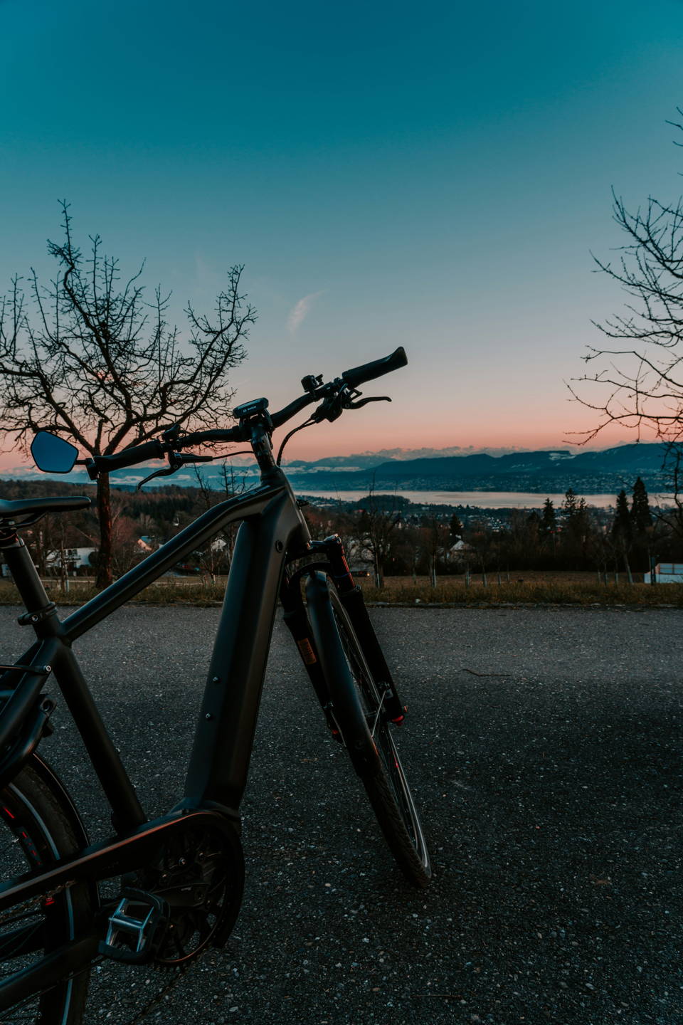 mountain bike elettrica