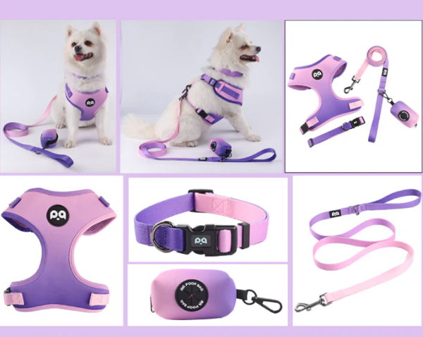 Purple-Pink Adjustable Soft Pet Harness with Leash & Poop Bag Dispenser - Image 2