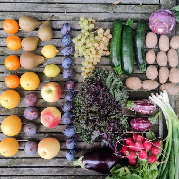 panier-decouverte-fruits-legumes-bio