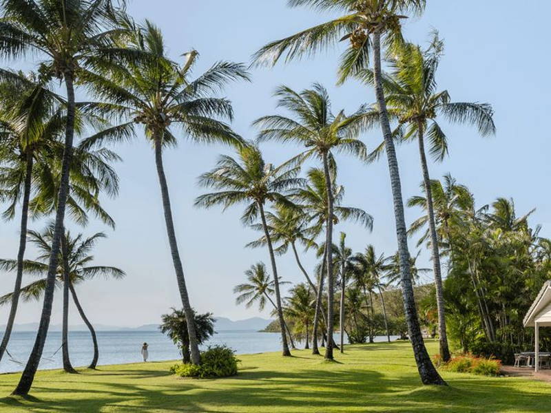 Image may contain: Summer, Nature, Outdoors, Plant, Tree, and Palm Tree