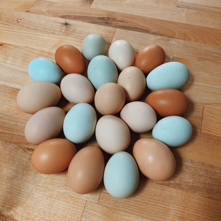 Wholesome hen and loaf — photo from hotplate.com
