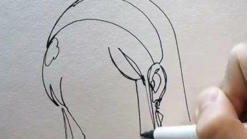 Main Content Image