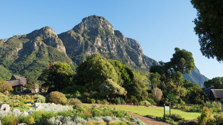 Kirstenbosch Gardens