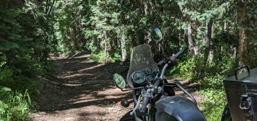 Mountain Pass Tour