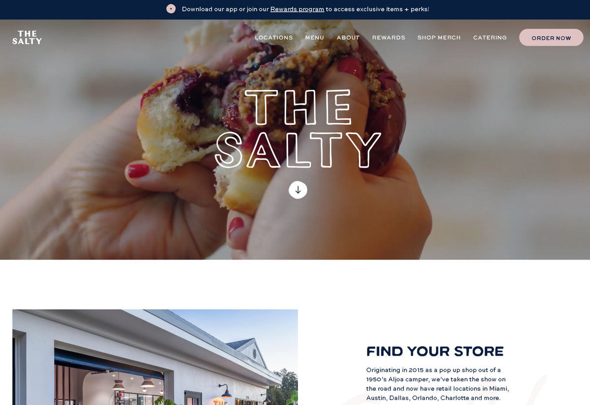 Screenshot of The Salty , from the blue websites collection.