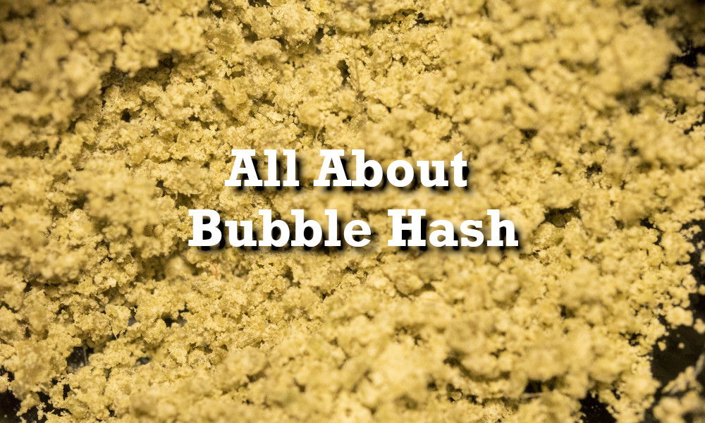 Bubble Hash what it is and how to make it by your own