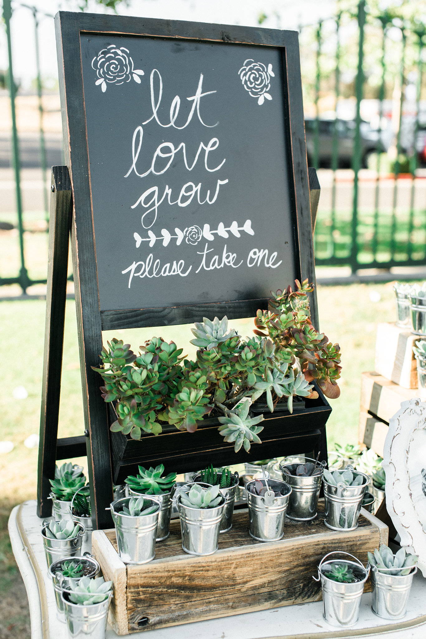 wedding favor succulents