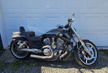 2010 HARLEY-DAVIDSON VRSCFA V-ROD MUSCLE ABS (BLACK) motorcycle for rent near Tacoma, WA