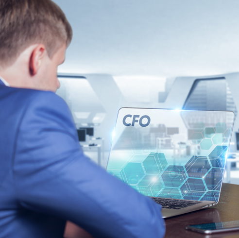 Virtual CFO