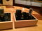 Bottlehead Paramour II amps 2A3 SET With Magnequest Iron 2