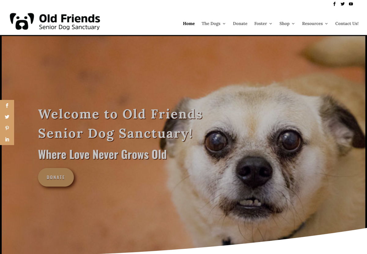 Screenshot of Old Friends Senior Dog Sanctuary, from the weebly websites collection.