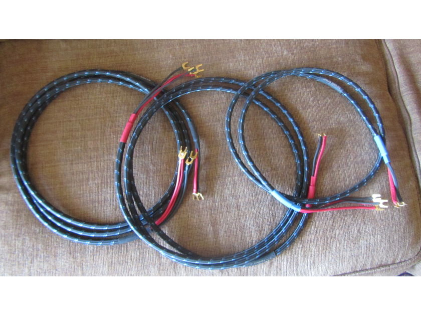 DH LABS Silver Sonic Q-10 Signature Speaker Cable  Internal Bi-Wire - 3 cables L/C/R Wonderful Sound- Excellent Condition