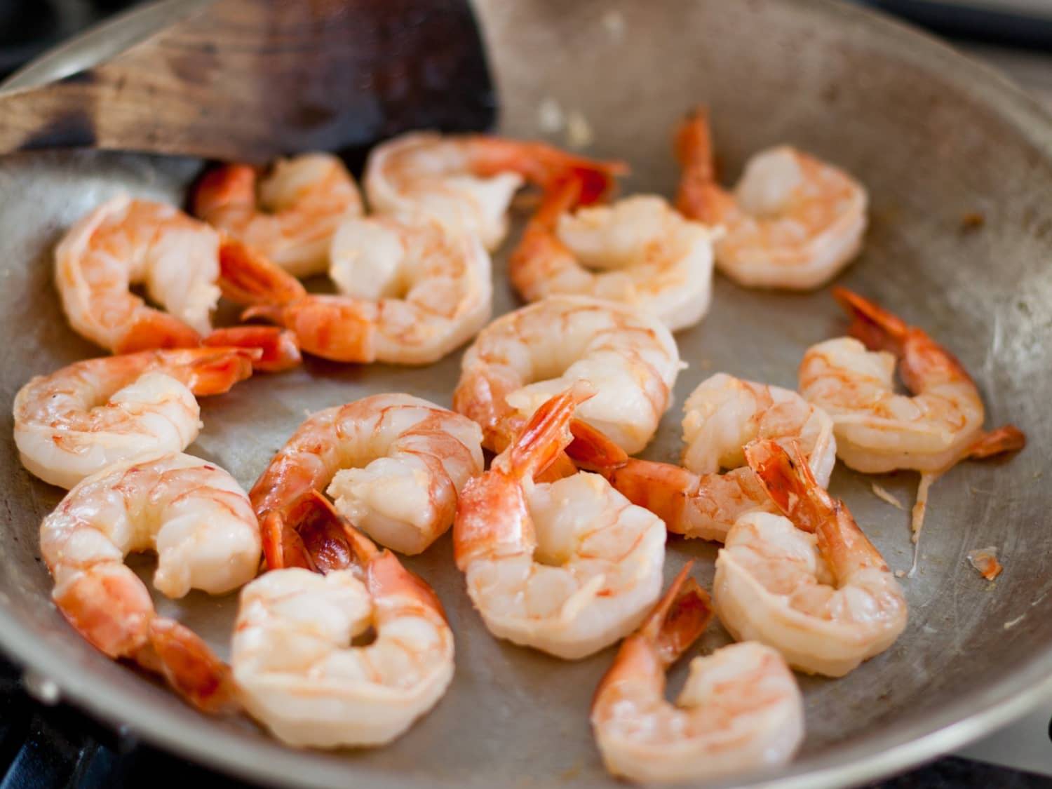 cooked shrimps for dogs.jpeg