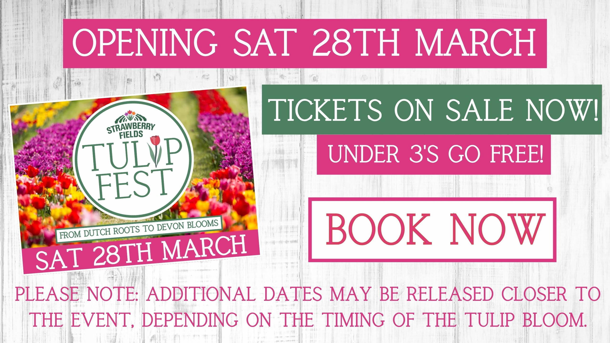 Experience Tulip Fest 2026 - the South West’s original and largest tulip festival. Explore over 500,000 blooms, 60 vibrant varieties, stunning photo spots, family-friendly entertainment, and a touch of Holland in the heart of Devon. Don’t miss this spectacular spring event!