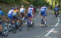 Peloton de cyclistes pendant le Tour de France