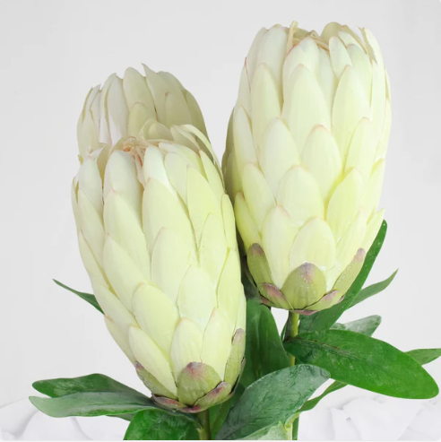 White Protea Stem / Pink Ice - Realistic Artificial Flowers - Image 3