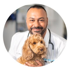 Image of Vetnique Founder and veterinarian Dr. James Bascharon holding a small dog.