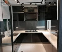 da-concept-invention-and-design-modern-malaysia-penang-wet-kitchen-interior-design