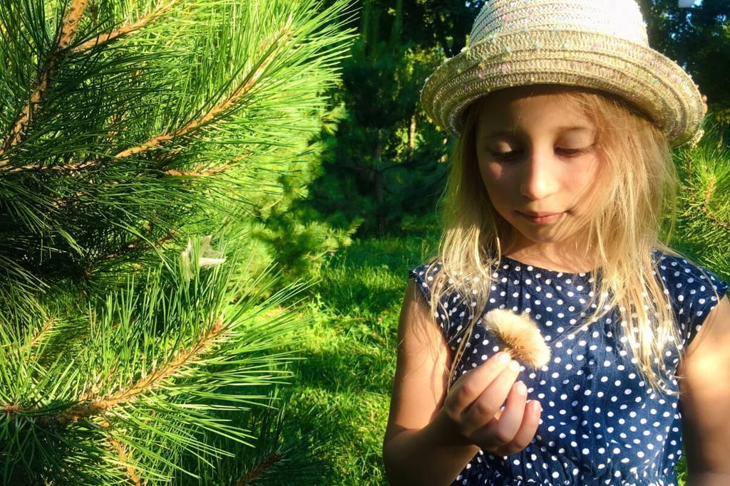 Fille d'âge préscolaire jouant avec des fleurs dans le parc.