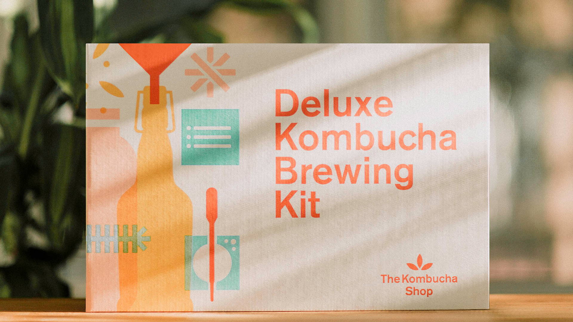Featured image for Check Out This Adorable DIY Kombucha Kit
