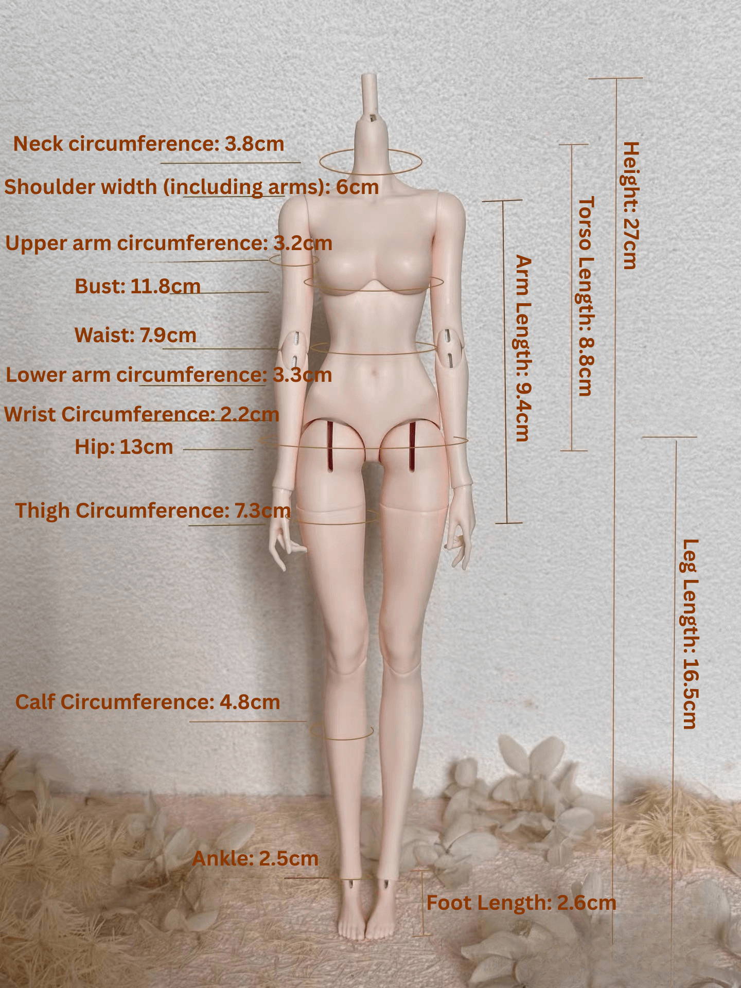 1/6 female BJD body size