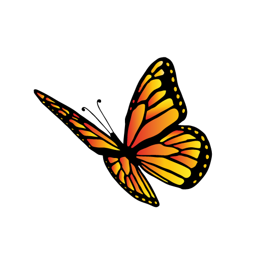 Icon-Fine_Aroma_Cacao_of_Ecuador