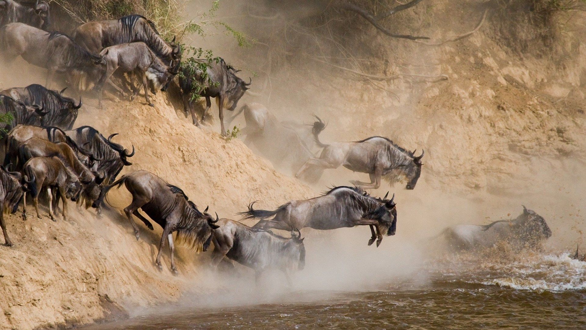 7 Days Serengeti Wildebeest Migration