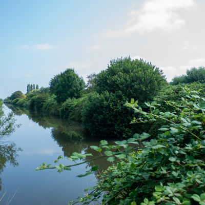 Afbeelding Afbeelding